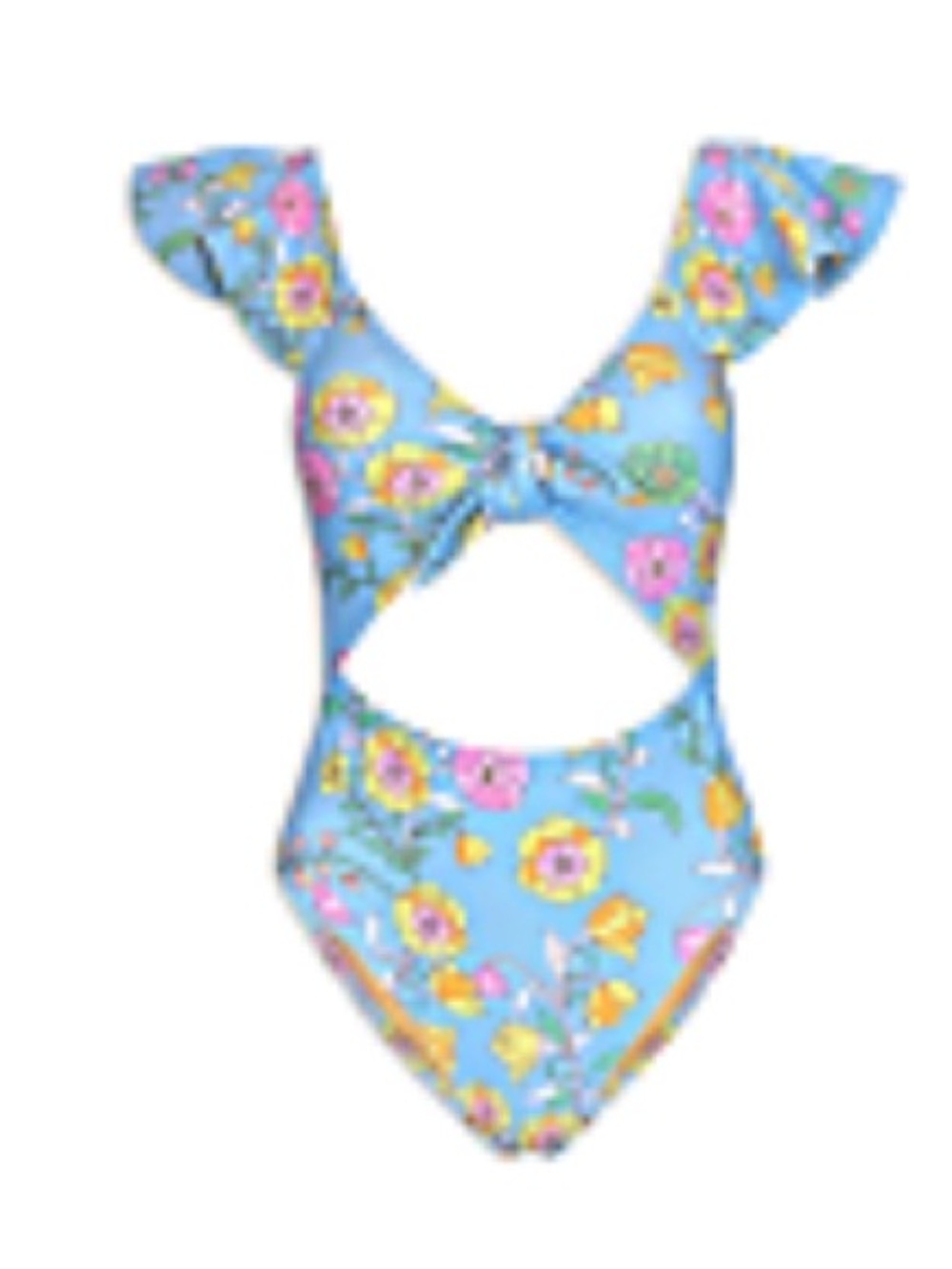 Blue Floral Cutout High-waist Swimsuit with Tie Front NWT